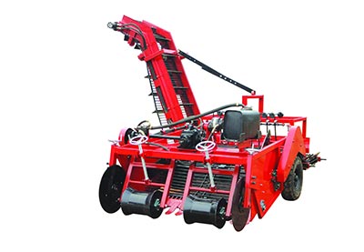 Potato harvester