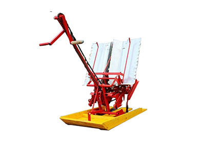 Rice transplanter