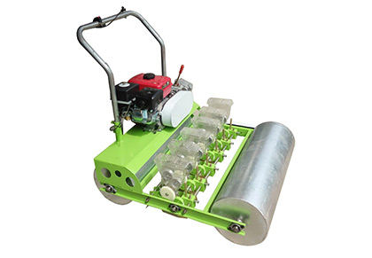 Vegetable seeder