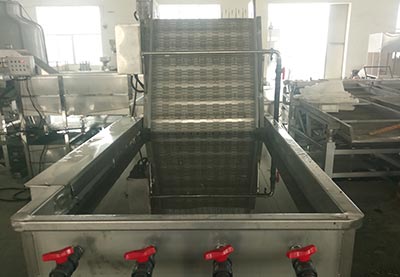 Automatic Bean Sprout Cleaning And Peeling Machine